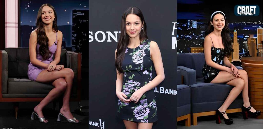 Is Olivia Rodrigo's family rich?