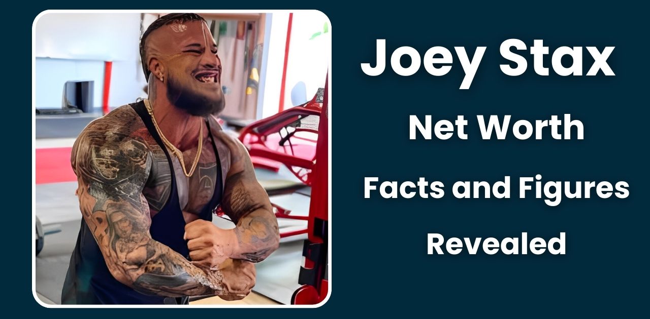 Joey Stax Net Worth: Facts and Figures Revealed